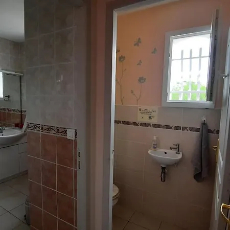 Lenga Doc Prades-sur-Vernazobre